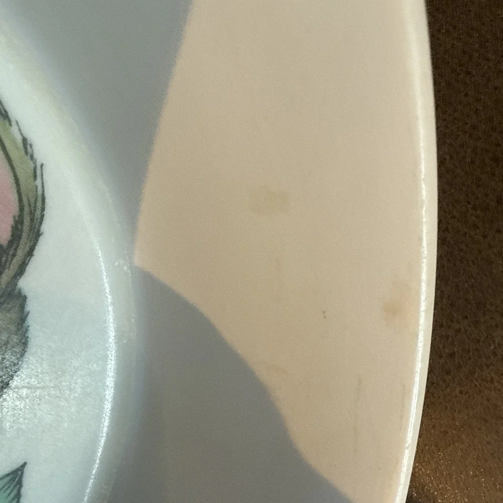 Vtg Oneida Deluxe 3243 Toddler Plastic Cereal Bowl Peter Rabbit 6.5